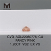 1.20CT ファンシーピンク VS2 EX VG CU ラボ製ピンク ダイヤモンド AGL22080776 