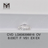 8.03 CT トップ ラボ クリエイト ダイヤモンド F VS1 OV丨Messigems CVD LG608398816 