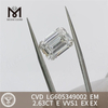 デザイナー向けダイヤモンド CVD の 2.63CT E VVS1 EM IGI 証明書丨Messigems LG605349002