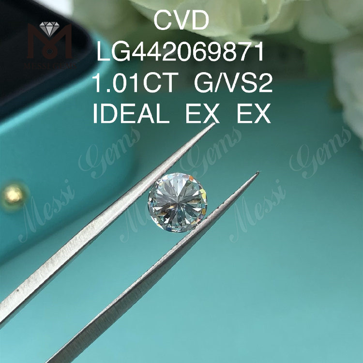 1.01 カラット G VS2 ラウンド BRILLIANT IDEAL 研究所で作成されたダイヤモンド
