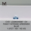 1.07CT VS1 VG VG OV ファンシー インテンス グリーンニッシュ ブルー オーバル ダイヤモンド CVD LG586346987