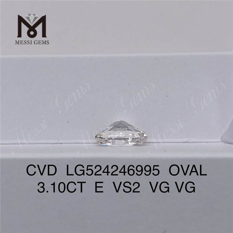3.10ct E VS2 E VS2 VG VG IGI 証明書 卸売価格