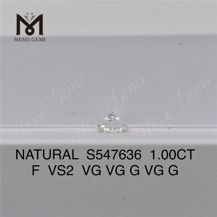 1.00CT F VS2 本物の天然ダイヤモンド 最高のエレガンス S547636丨Messigems