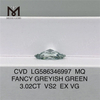 3ct ダイヤモンド グリーン VS2 EX VG CVD MQ FANCY GREYISH GREEN VS2 EX VG CVD LG586346997 