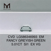 5ct エメラルド カット ラボ ダイヤモンド グリーン SI1 EX VG EM ファンシー グレイッシュ グリーン マンメイド CVD LG586346993 