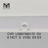 9.74CT D VVS2 OV 大型ラボ作成ダイヤモンド CVD LG607395172丨Messigems