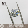 3.02CT E VS1 3 カラット CCVD ダイヤモンドの再販業者およびジュエリー デザイナー向けの価格丨Messigems LG608374161